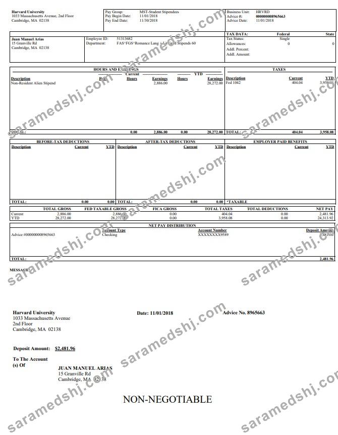 Harvard university  pay stub in PDF and Word format